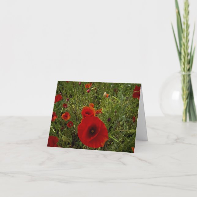 Carte De Remerciements Poppies (Devant)