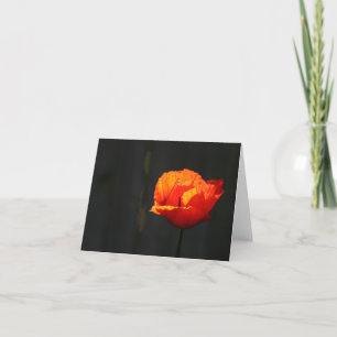 Carte De Remerciements Poppy