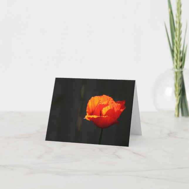 Carte De Remerciements Poppy (Devant)