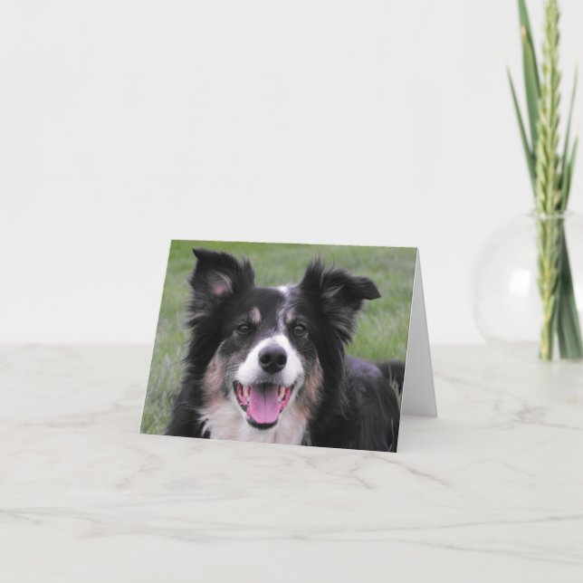Carte De Remerciements Portrait de border collie (Devant)