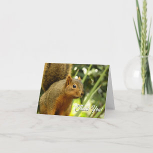 Carte De Remerciements Portrait d'un écureuil Photographie d'animal de na