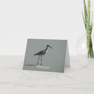 Carte De Remerciements Pose Sandpiper