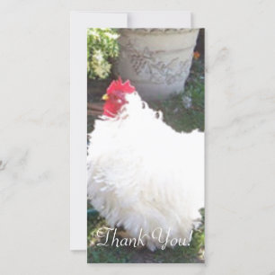 Carte De Remerciements Poulet blanc pelucheux