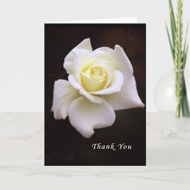 Carte de remerciements pour Sympathie & Fleurs (Devant)
