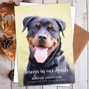 Carte De Remerciements Pour toujours dans nos coeurs Pet Memorial Photo m