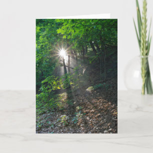 Carte De Remerciements Poutres de soleil du matin du parc Kaposia