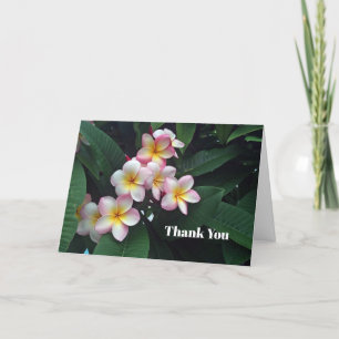 Carte De Remerciements Pretty Pink et Yellow Plumeria Floral Photo