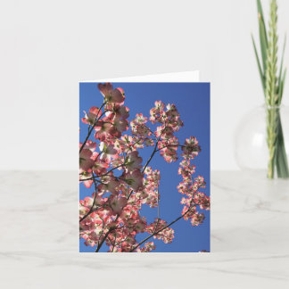 Carte De Remerciements Printemps