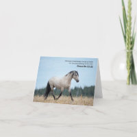 Proverbes 21:31 Sauvage Cheval Bible Verse