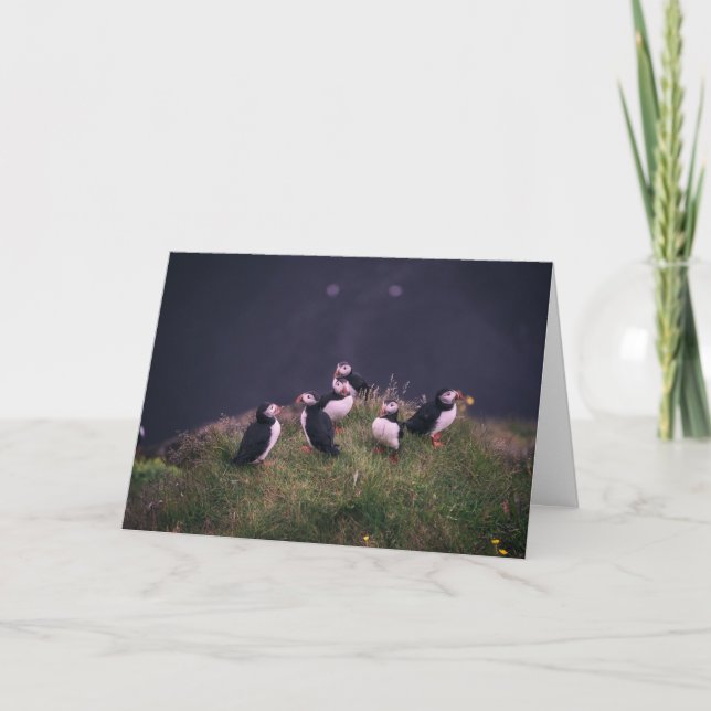 Carte De Remerciements Puffins de l'Atlantique (Devant)