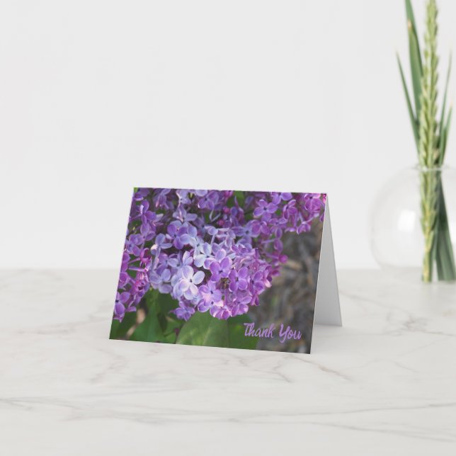 Carte De Remerciements Purple Lilacs Folded Thank You Card (Devant)