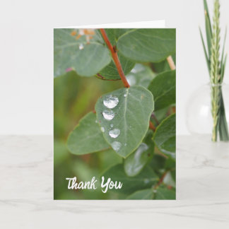 Carte De Remerciements Raindrops and Green Leaves Folded Thank You Card