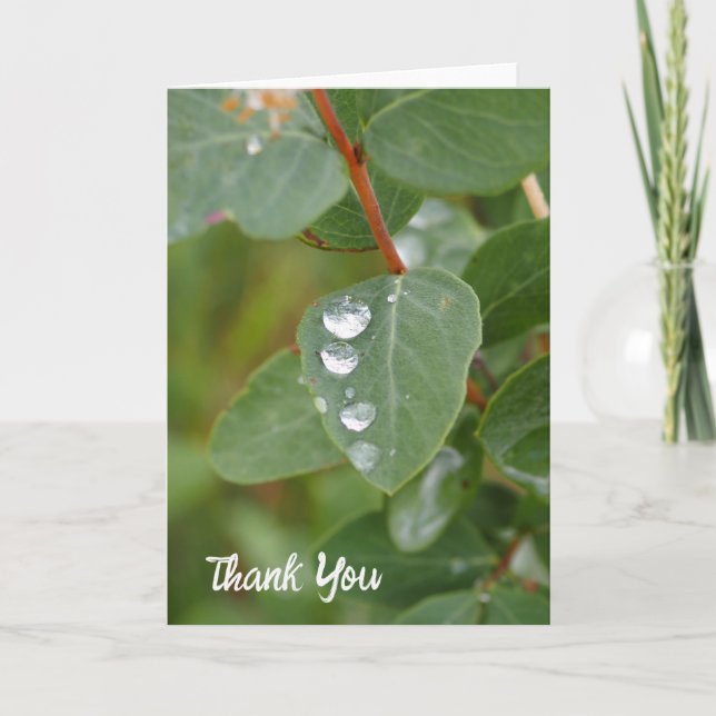 Carte De Remerciements Raindrops and Green Leaves Folded Thank You Card (Devant)