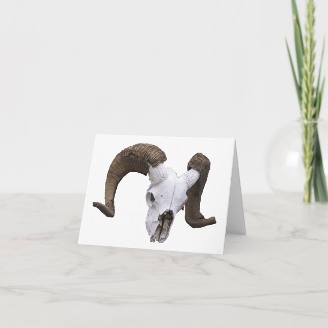 Carte De Remerciements ramshead (Devant)