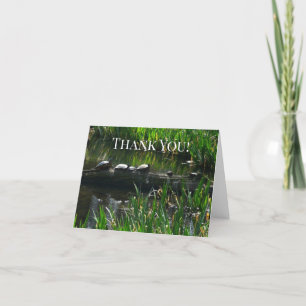 Carte De Remerciements Rangée de tortues Green Nature Photo
