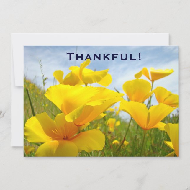 Carte De Remerciements Reconnaissant ! La coutume d'invitations offre le (Devant)