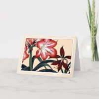 Red Amarylli, Botanical Card - Salutation Personna