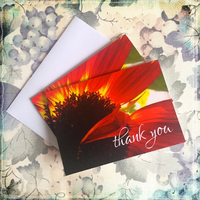 Carte De Remerciements Red orange daisy chic photo thank you note (Créateur téléchargé)