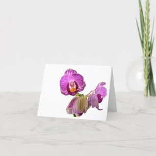 Carte De Remerciements Remarques miniatures sur l'orchidée
