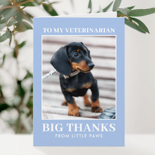 Carte De Remerciements Remerciement Vétérinaire Photo Chien Bleu Moderne
