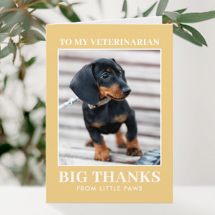 Carte De Remerciements Remerciement Vétérinaire Photo Chien Jaune Moderne
