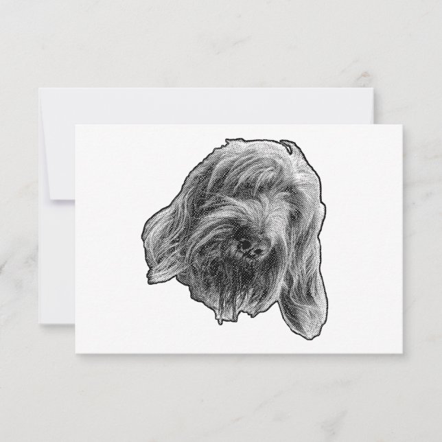 Carte De Remerciements Remerciements gentils Spinone (Devant)