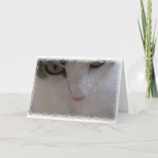 Carte De Remerciements Remerciez miaulent