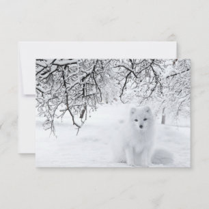 Carte De Remerciements Renard des neiges dans les bois d'hiver
