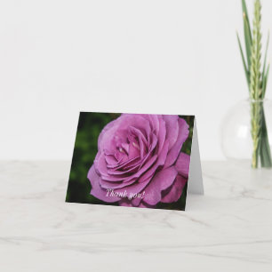 Carte De Remerciements Rose du jardin Magenta