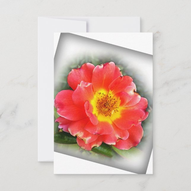 Carte De Remerciements Rose en automne (Devant)