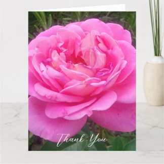 Carte De Remerciements Rose rose romantique 'Léonard de Vinci'