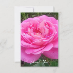 Carte De Remerciements Rose rose romantique 'Léonard de Vinci'