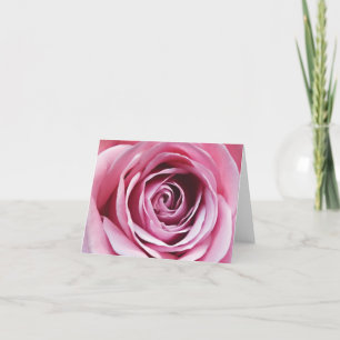 Carte De Remerciements Rose Rose Rose jardin détail fleur design floral m