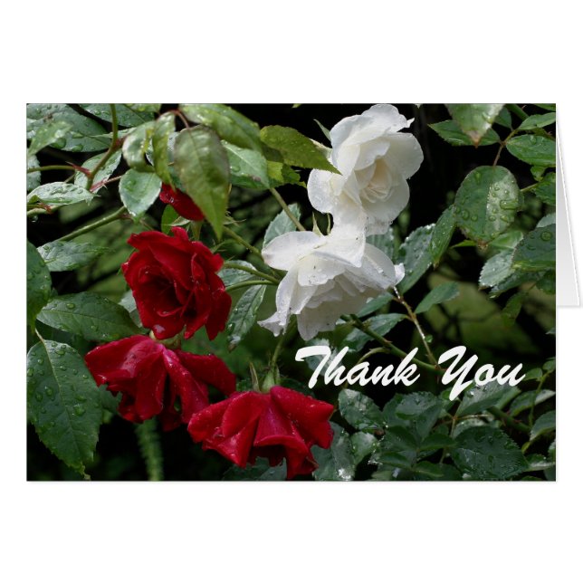 Carte de remerciements Rose trempé (Devant Horizontal)