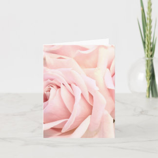 Carte De Remerciements Roses roses tendres, se concentre sur les pétales
