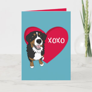 Carte De Remerciements Saint Valentin bernois de chien de montagne