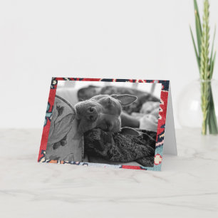 Carte De Remerciements Salutation d'amour de Pitbull