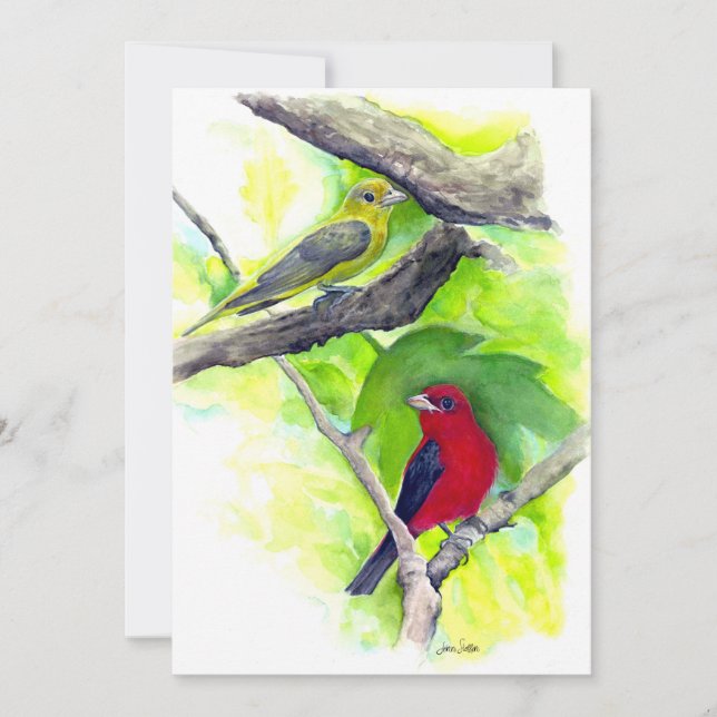 Carte De Remerciements Scarlet Tanagers Oiseaux Aquarelle Peinture (Devant)