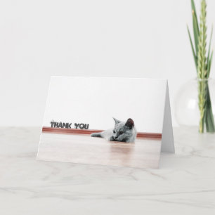 Carte De Remerciements Scottish Fold Cat Kitten Super mignonne "Merci"
