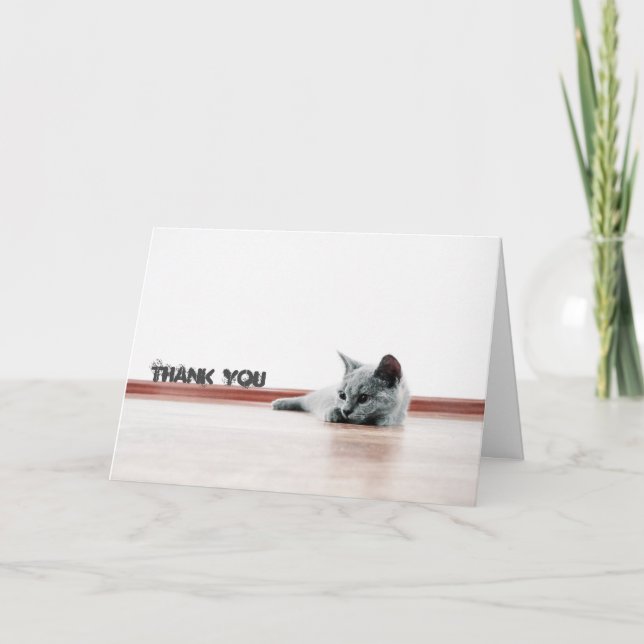 Carte De Remerciements Scottish Fold Cat Kitten Super mignonne "Merci" (Devant)