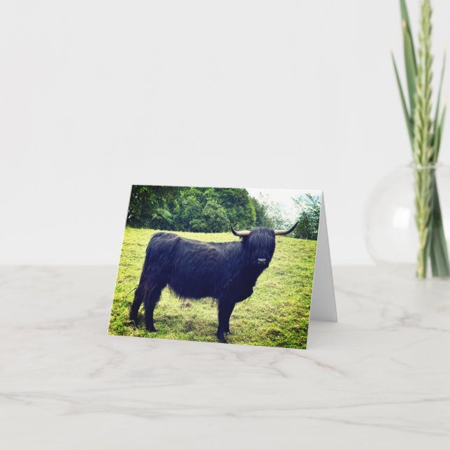 Carte De Remerciements Scottish Highland Cow  <Blank Inside> (Devant)