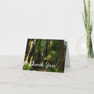 Carte De Remerciements Séquoias et fougères au parc national de Redwood