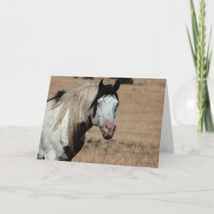 Carte De Remerciements Shaman WildCard