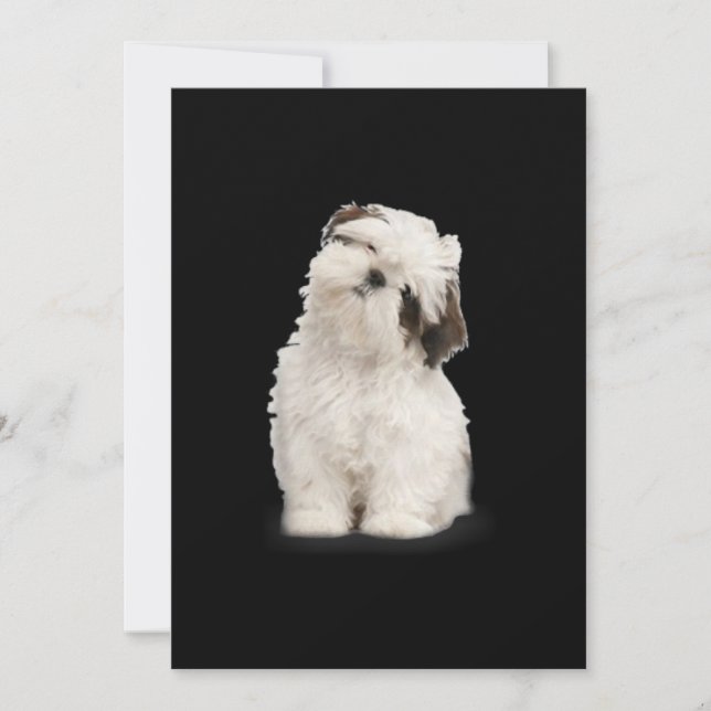 Carte De Remerciements Shih Tzu| Shih Tzu Puppy Gift (Devant)
