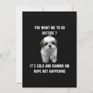 Carte De Remerciements Shih Tzu   Shih Tzu Vous Voulez Que Je Suis Dehors