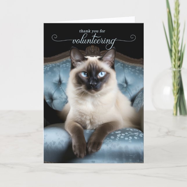 Carte De Remerciements Siamese Cat on a Blue Chair Volunteer (Devant)