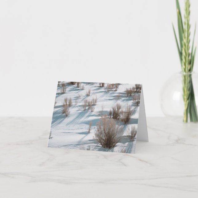 Carte De Remerciements Snowy Rabbitbrush - 4" x 5.6" Notecard (Devant)