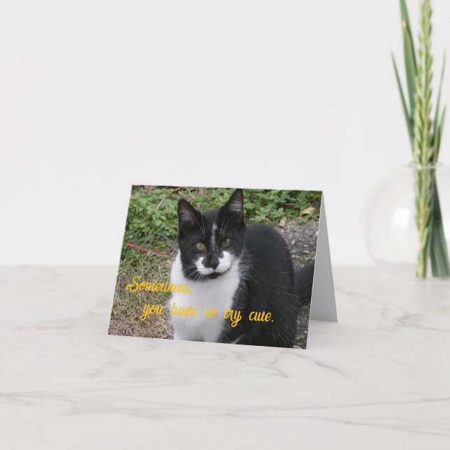 Carte De Remerciements Sometimes, you have to try cute. (Devant)