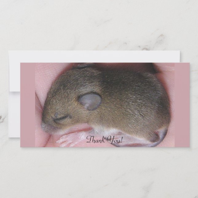 Carte De Remerciements Souris minuscule de bébé avec des sommeils mignons (Devant)