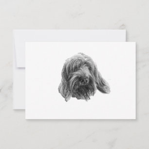 Carte De Remerciements Spinone Remerciements Calmes